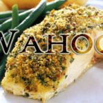 eat wahoo